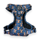 Tough Trails™ Harness - Little Leo
