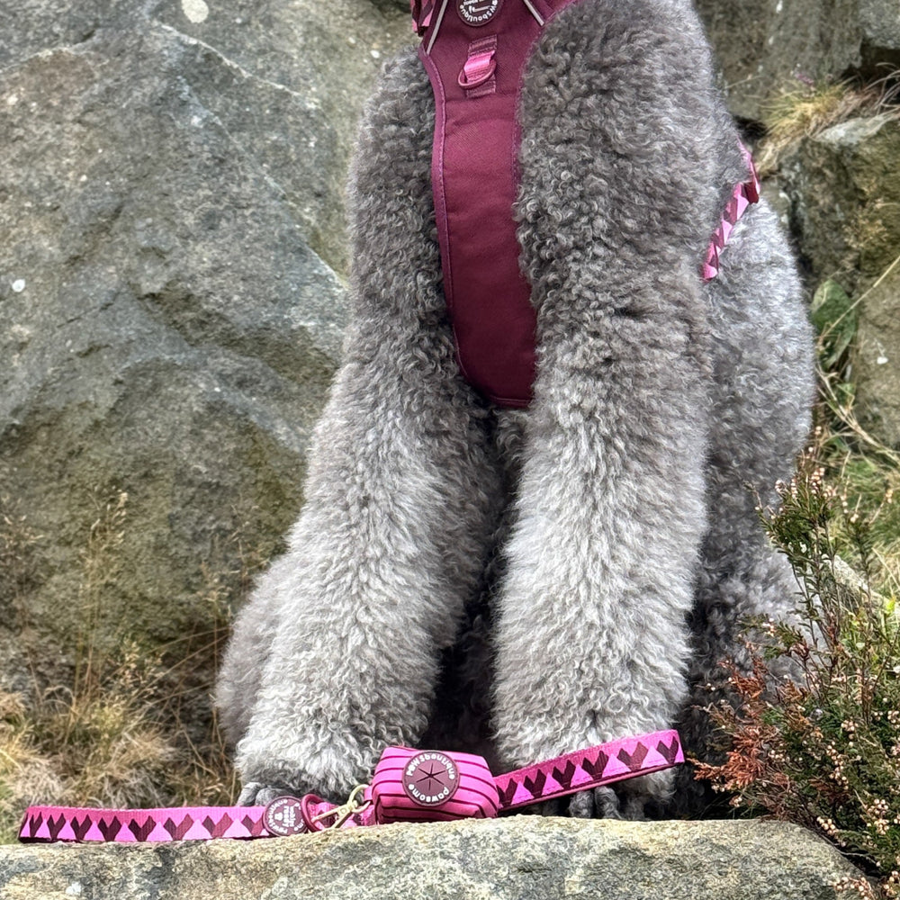 Poo Bag Holder - Walkies Ready® Mulberry