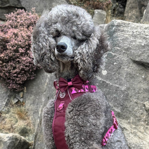 Bow Tie - Walkies Ready® - Mulberry