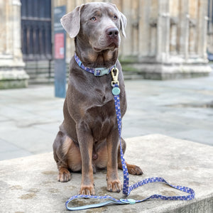 Disney© Lead - Winnie + Friends