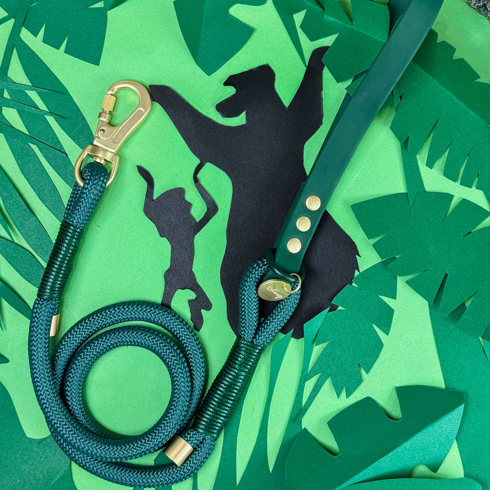 Disney© 4ft Rope Lead - Jungle Book