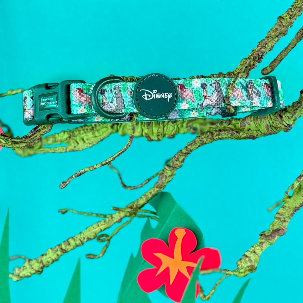 Disney© Collar - Jungle Book