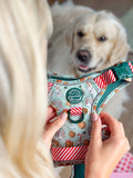 Tough Trails™ Harness -  Milk & Cookies
