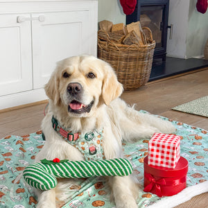 Dog Blanket - Milk & Cookies