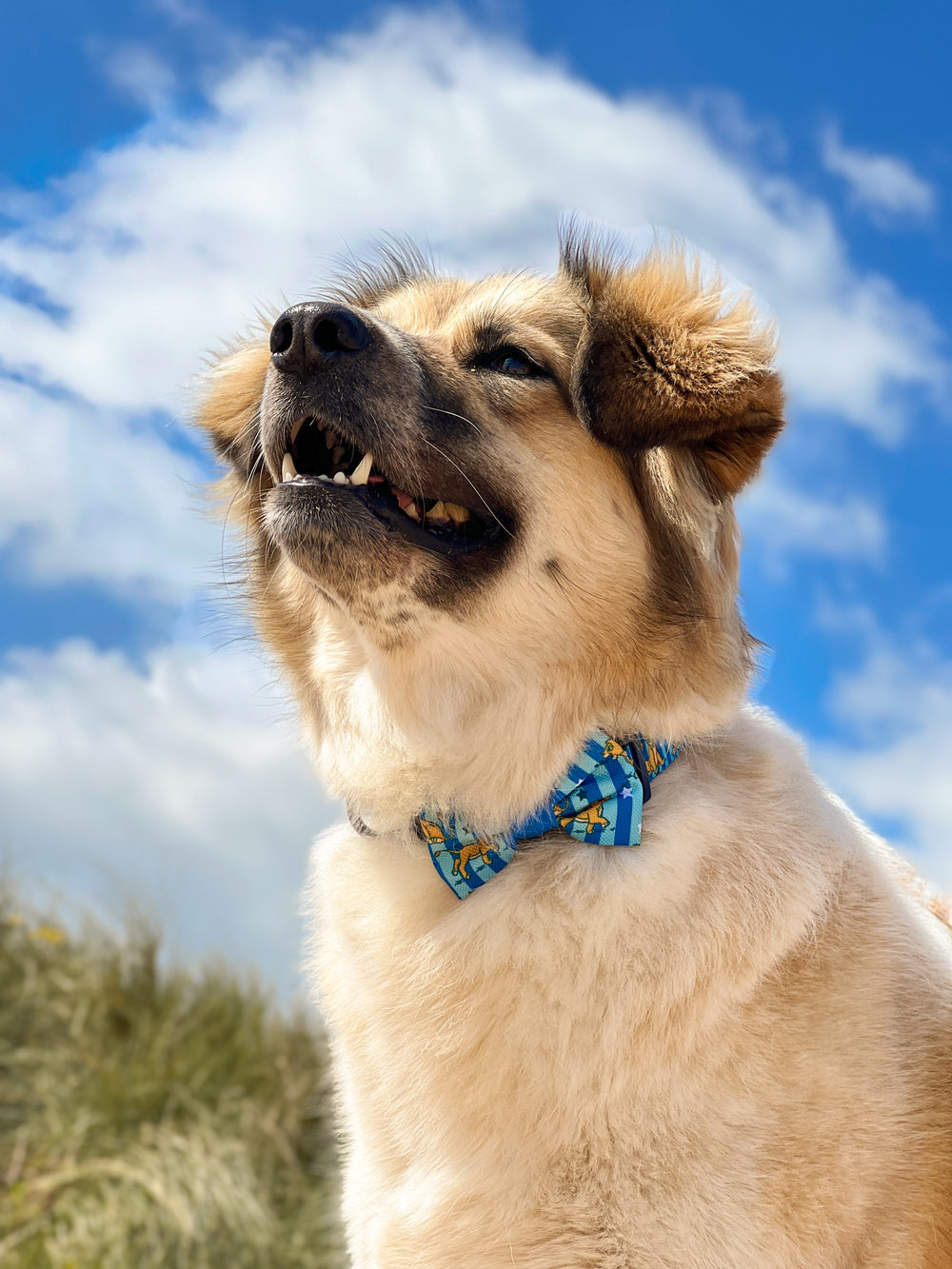 Disney© Bow Tie - Simba