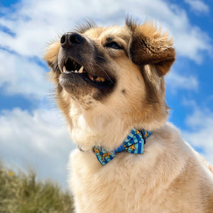 Disney© Bow Tie - Simba