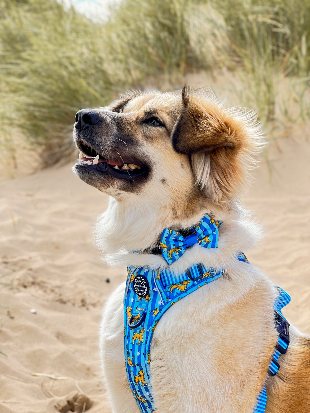 Disney© Bow Tie - Simba