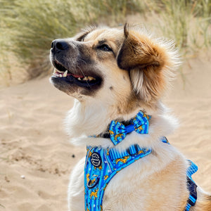 Disney© Bow Tie - Simba