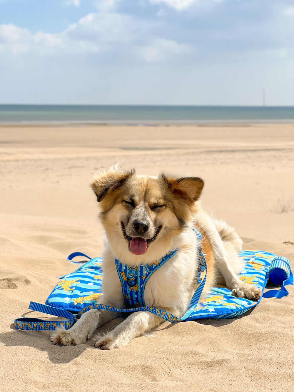 Disney© Travel Mat - Simba