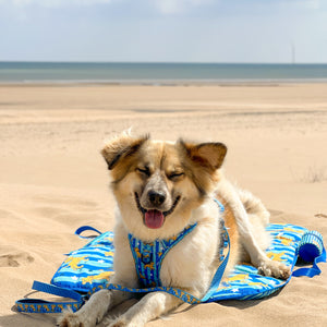 Disney© Travel Mat - Simba