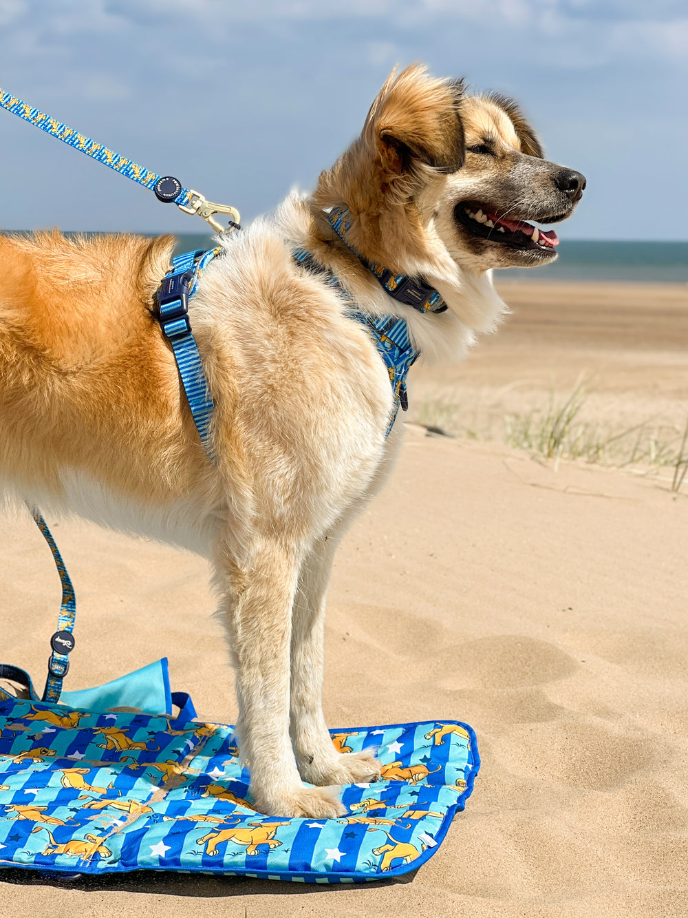 Disney© Travel Mat - Simba