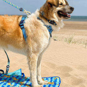 Disney© Travel Mat - Simba