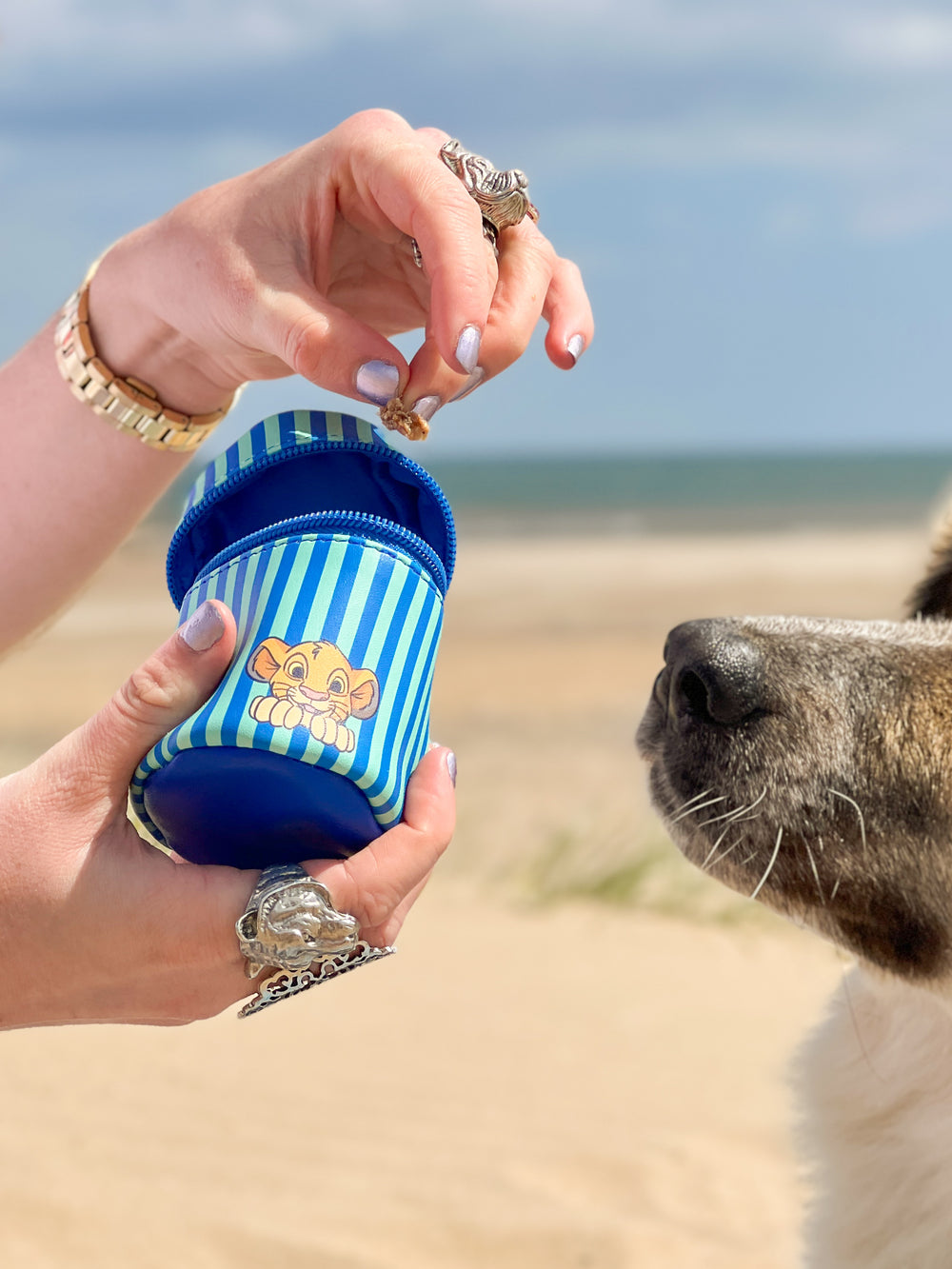 Disney© Treat Pouch -Simba