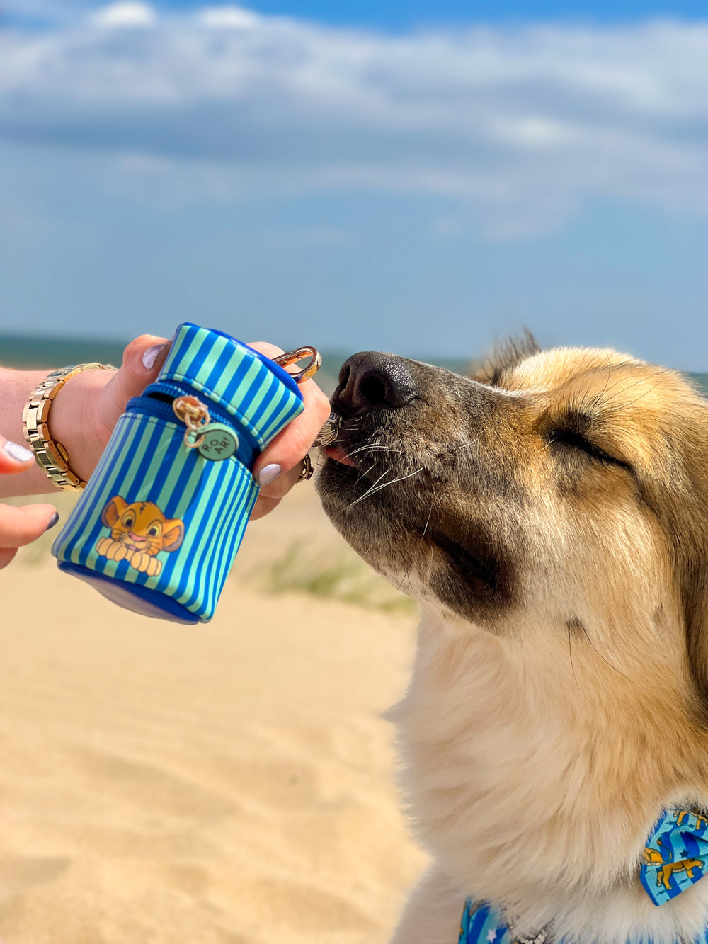 Disney© Treat Pouch -Simba