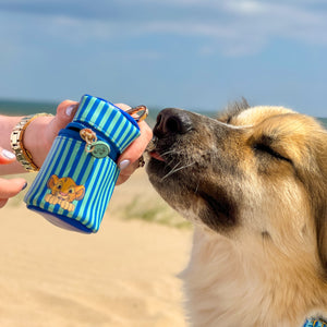 Disney© Treat Pouch -Simba