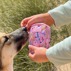 Disney© Treat + Go Bag - Nala