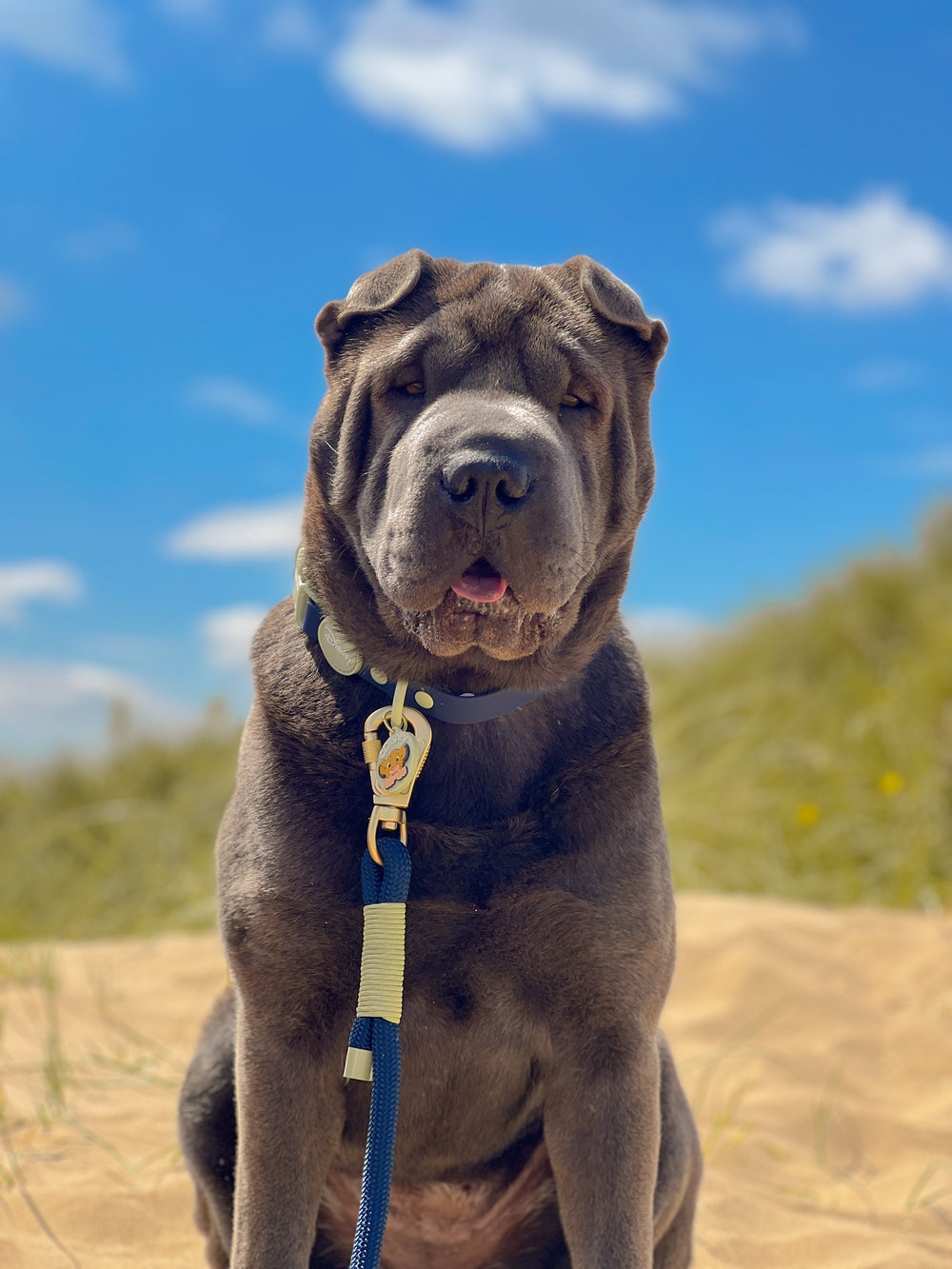 Disney© 4ft Rope Lead - Simba - Navy and Mint