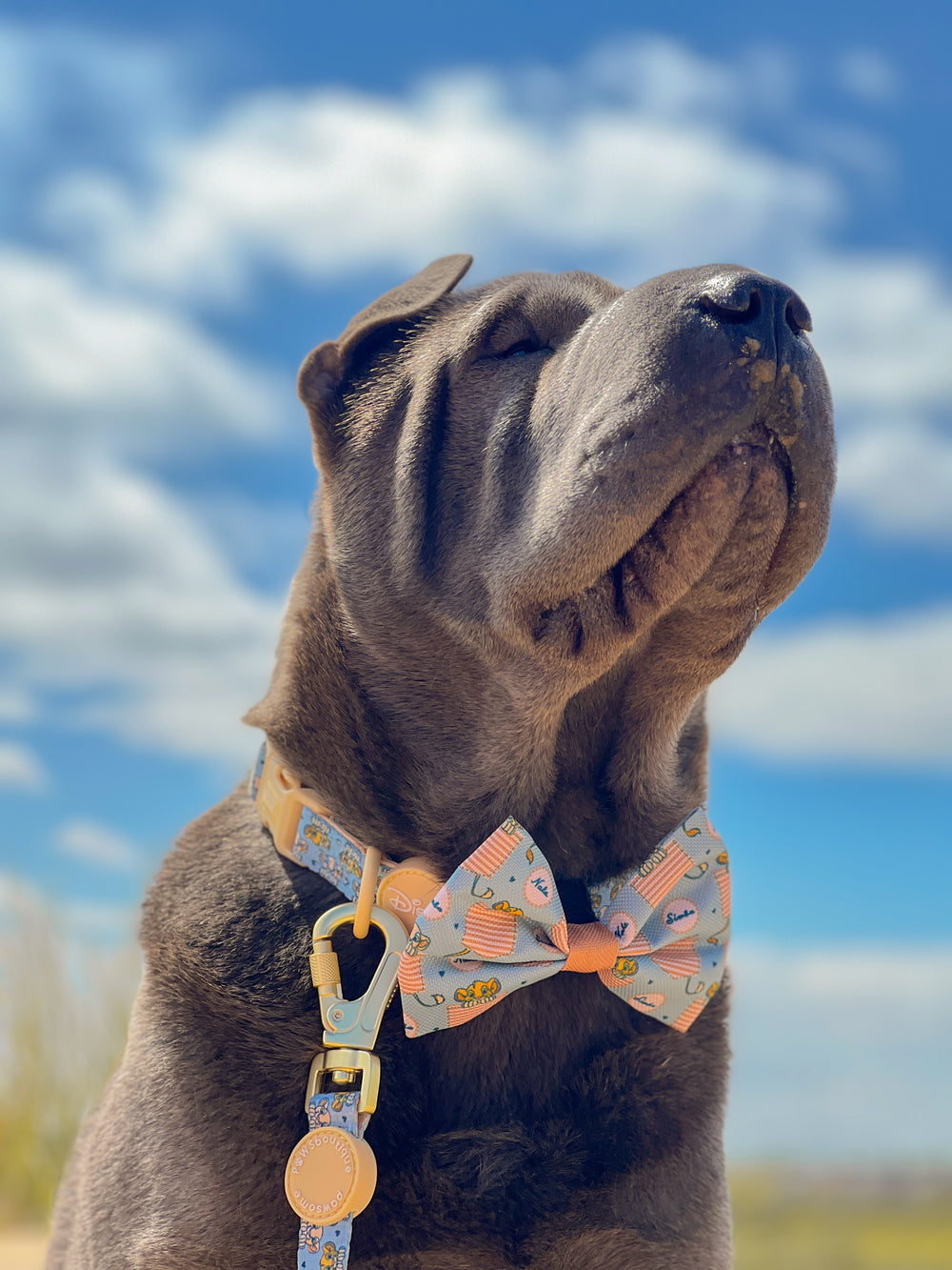 Disney© Bow Tie - Lion Friends