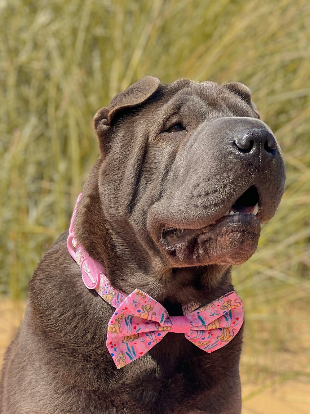 Disney© Bow Tie - Nala