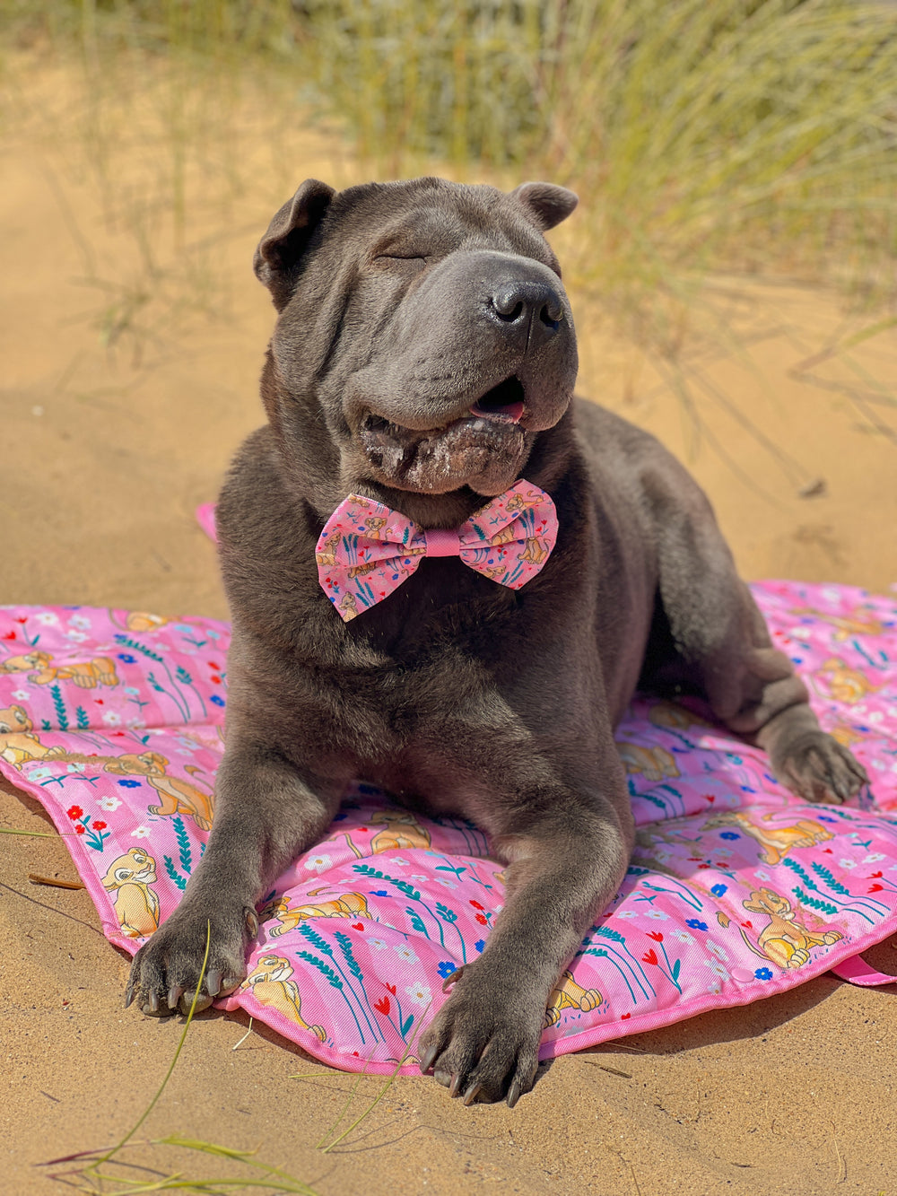 Disney© Travel Mat - Nala