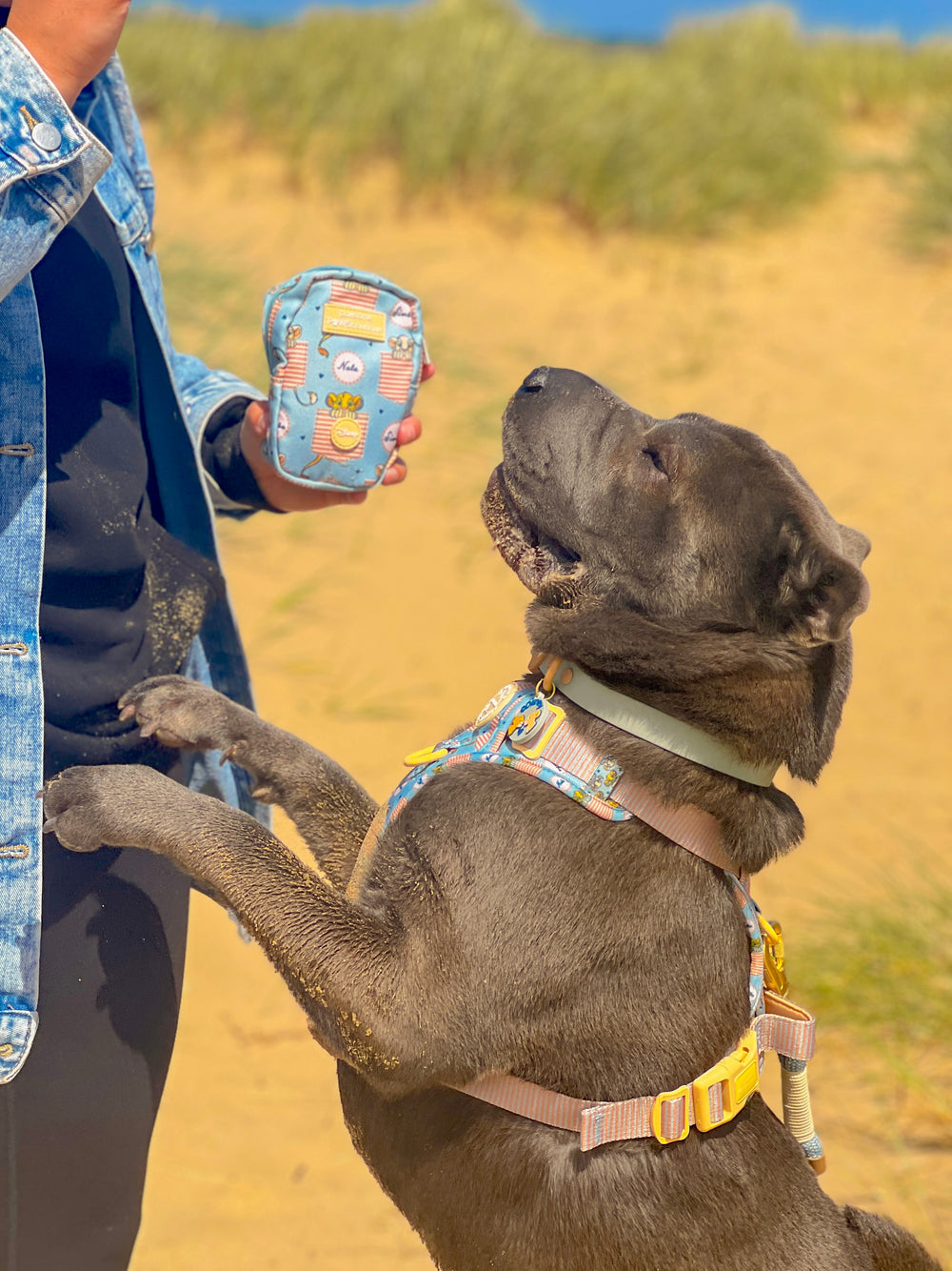 Disney© Treat + Go Bag - Lion Friends