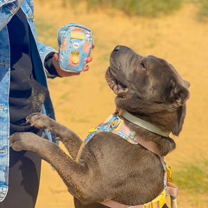 Disney© Treat + Go Bag - Lion Friends