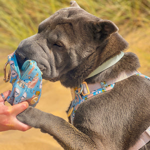 Disney© Treat + Go Bag - Lion Friends