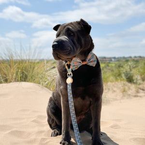 Disney© Lead - Lion Friends