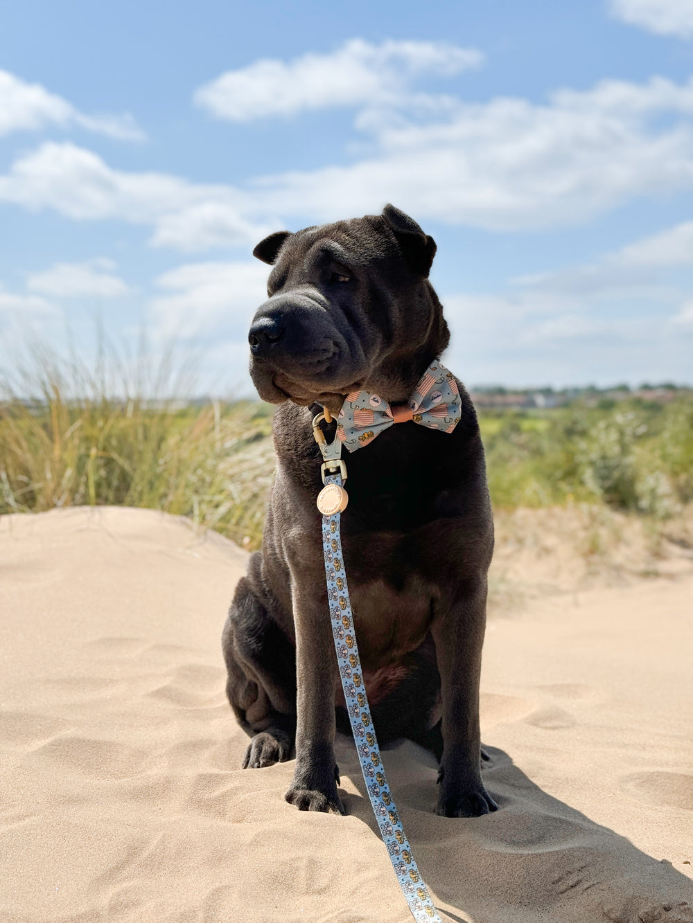 Disney© Bow Tie - Lion Friends