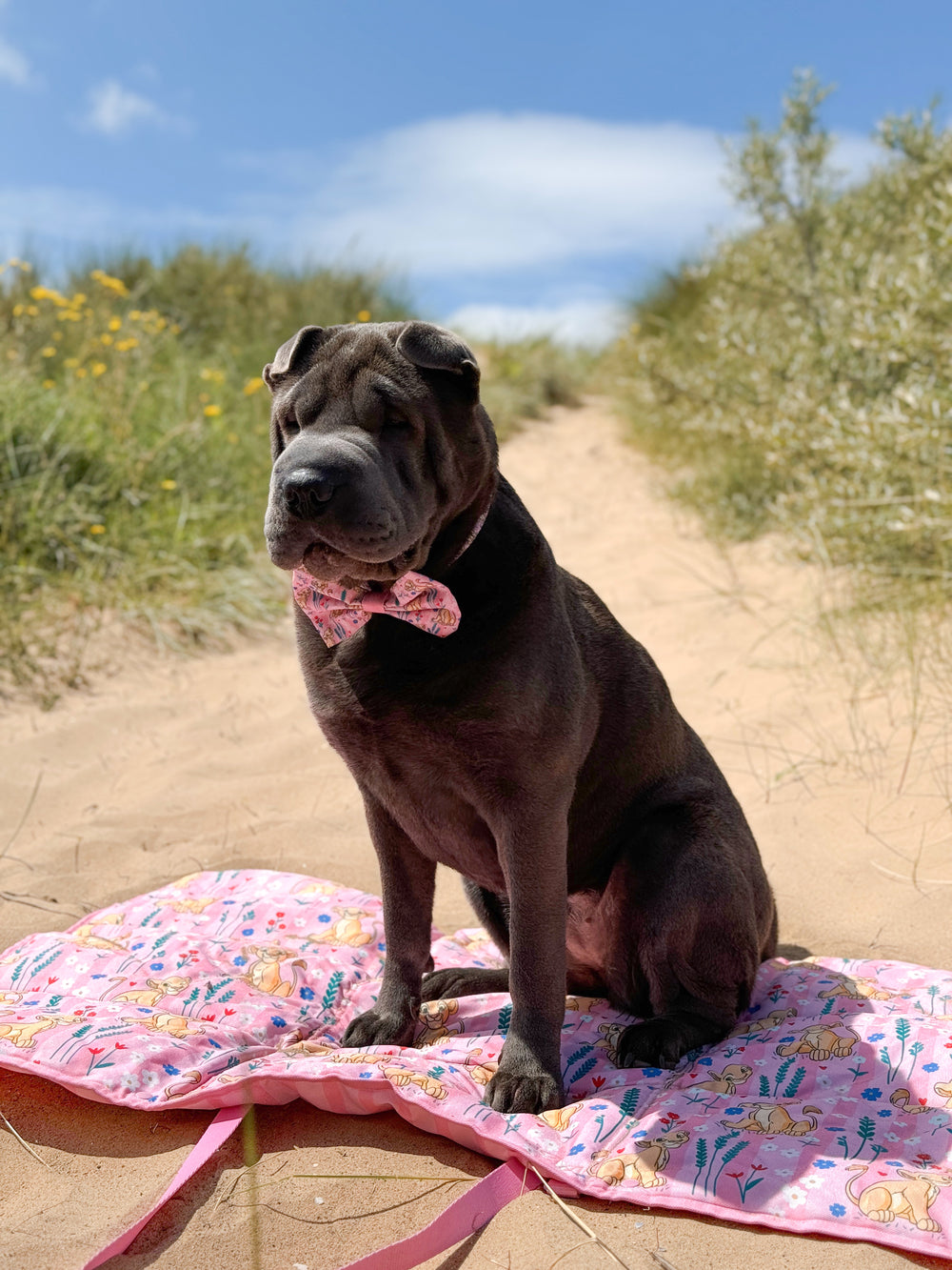 Disney© Travel Mat - Nala