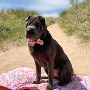 Disney© Travel Mat - Nala