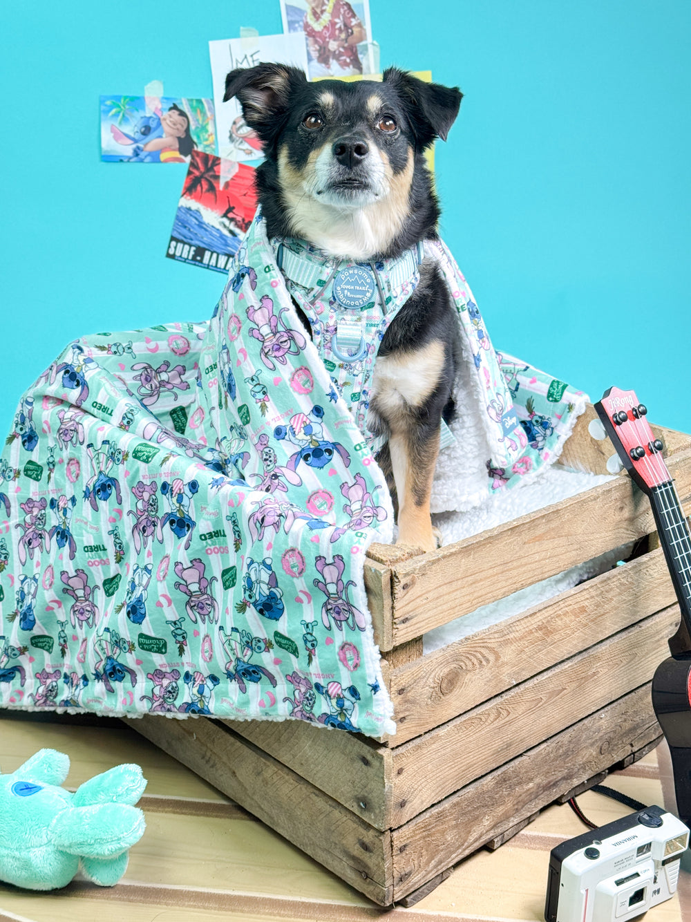 Disney© Dog Blanket - Stitch's Slumber Party