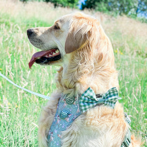 Disney© Bow Tie - Bambi + Thumper - Green Gingham