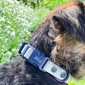Waterproof Collar - Dusky Blue + Navy