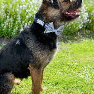 Disney© Collar - Bambi + Friends Blue