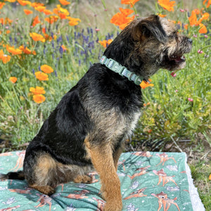 Disney© Collar - Bambi + Thumper