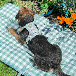 Disney© Travel Mat - Bambi + Thumper