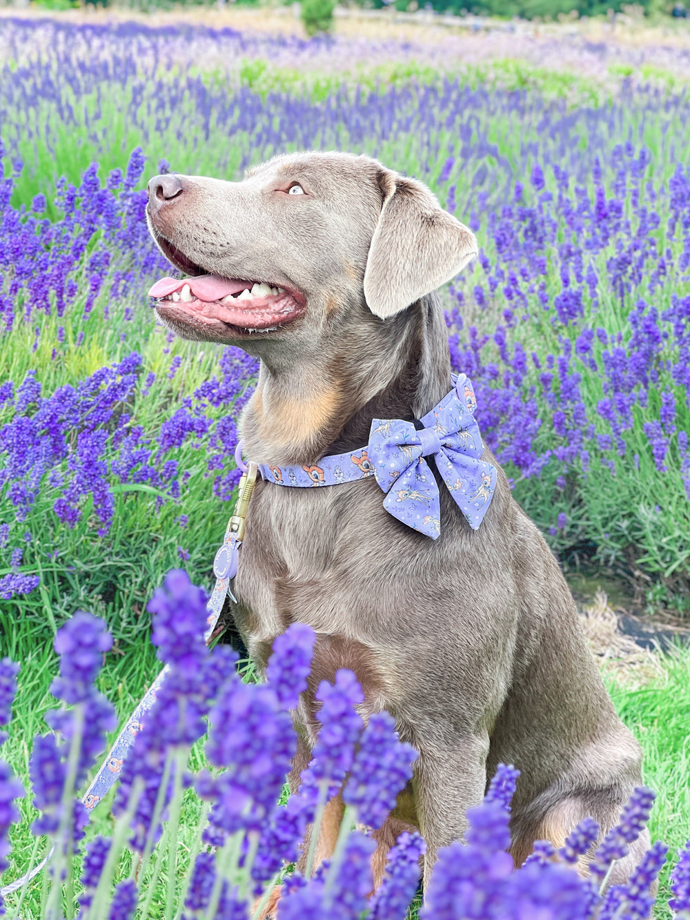 Disney© Sailor Bow Tie - Bambi + Friends Lilac