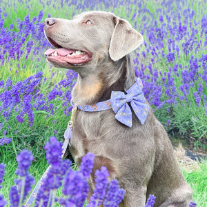 Disney© Sailor Bow Tie - Bambi + Friends Lilac