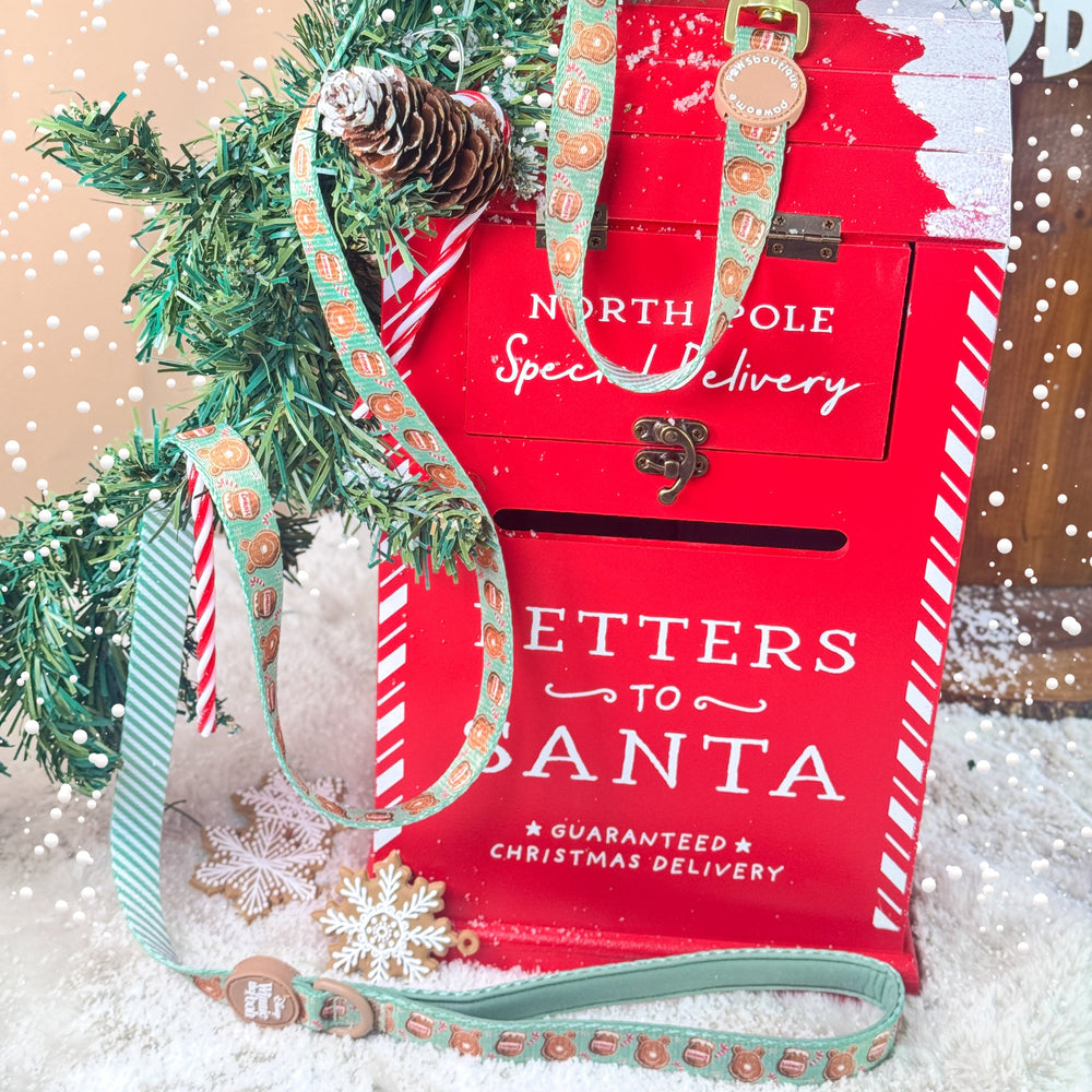 Disney© Lead - Gingerbread Bear Sage