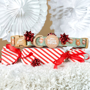 Disney© Collar - Gingerbread Bear Sage