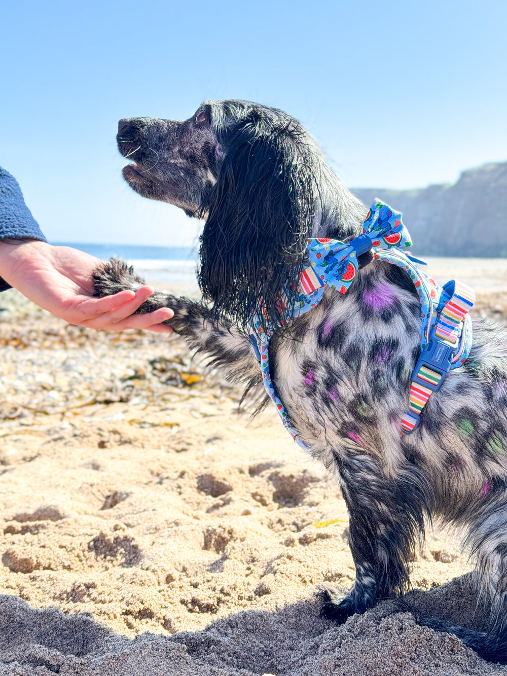 Disney© Bow Tie - Stitch's Fruit Fiesta