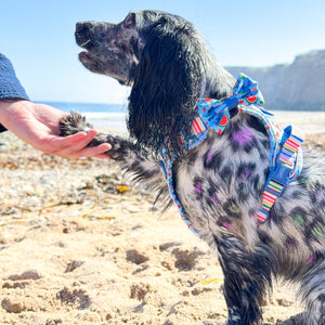 Disney© Bow Tie - Stitch's Fruit Fiesta