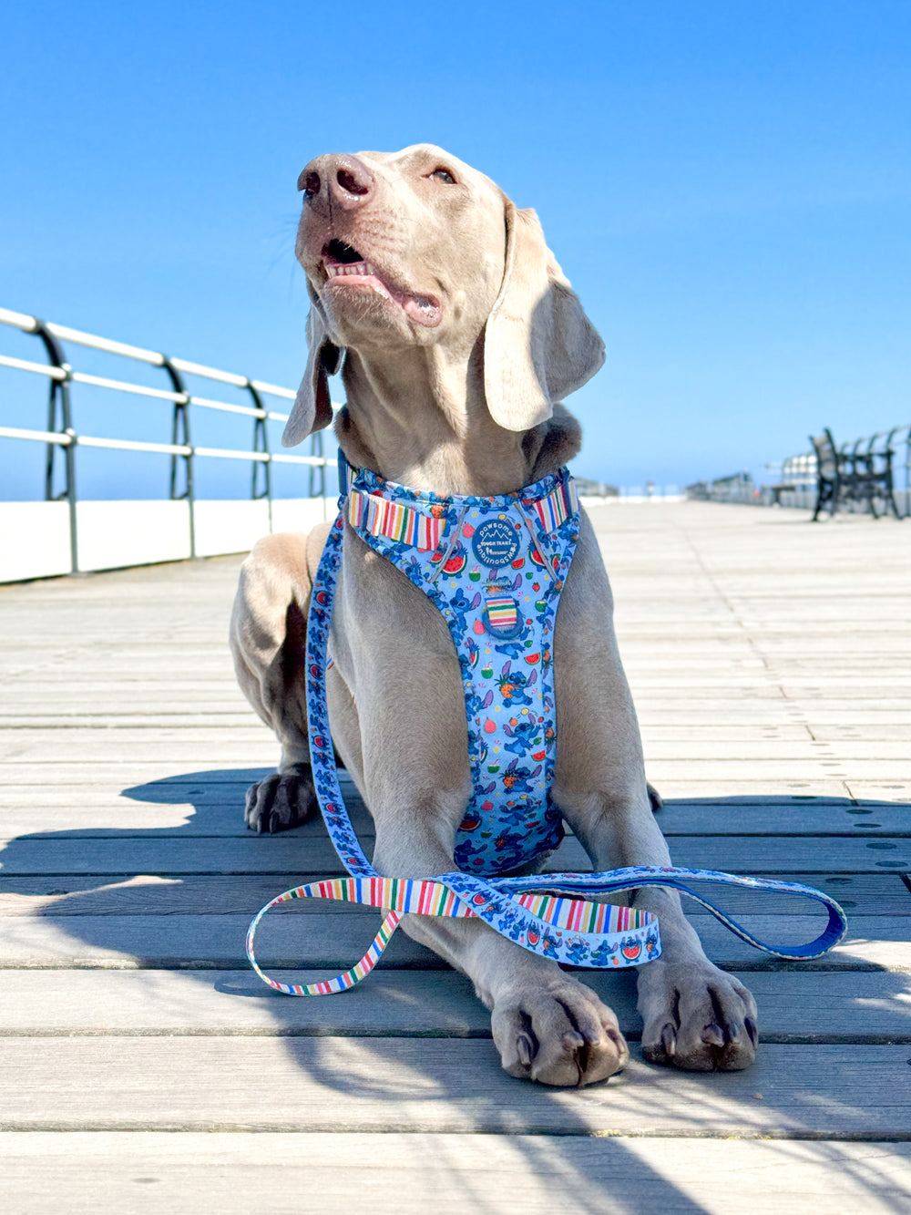 Disney© Lead - Stitch's Fruit Fiesta