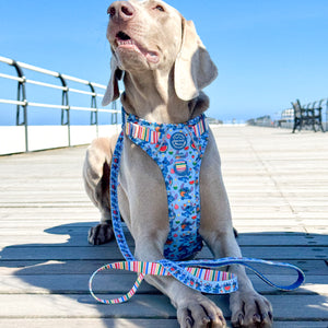 Disney© Lead - Stitch's Fruit Fiesta