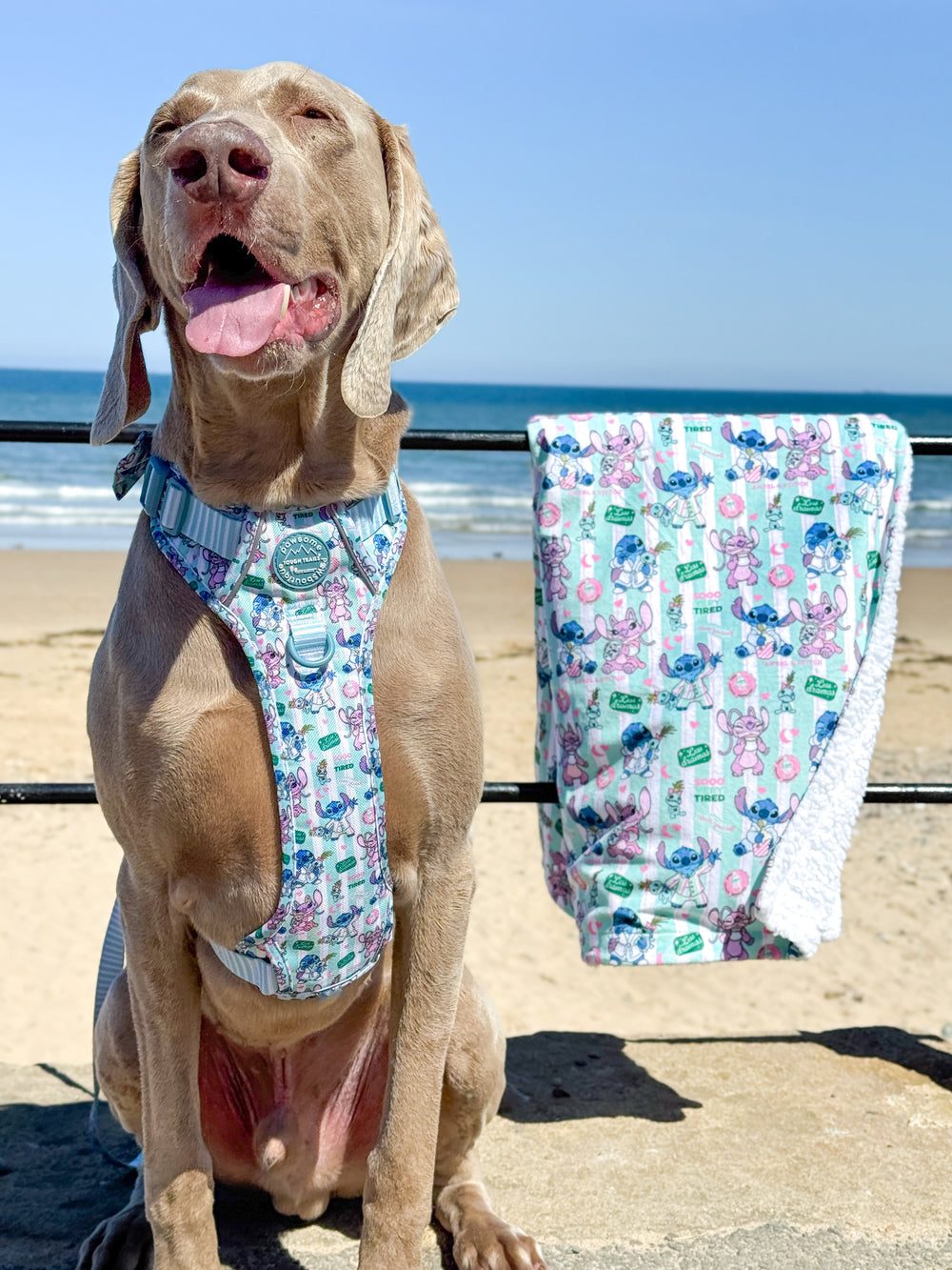 Disney© Dog Blanket - Stitch's Slumber Party