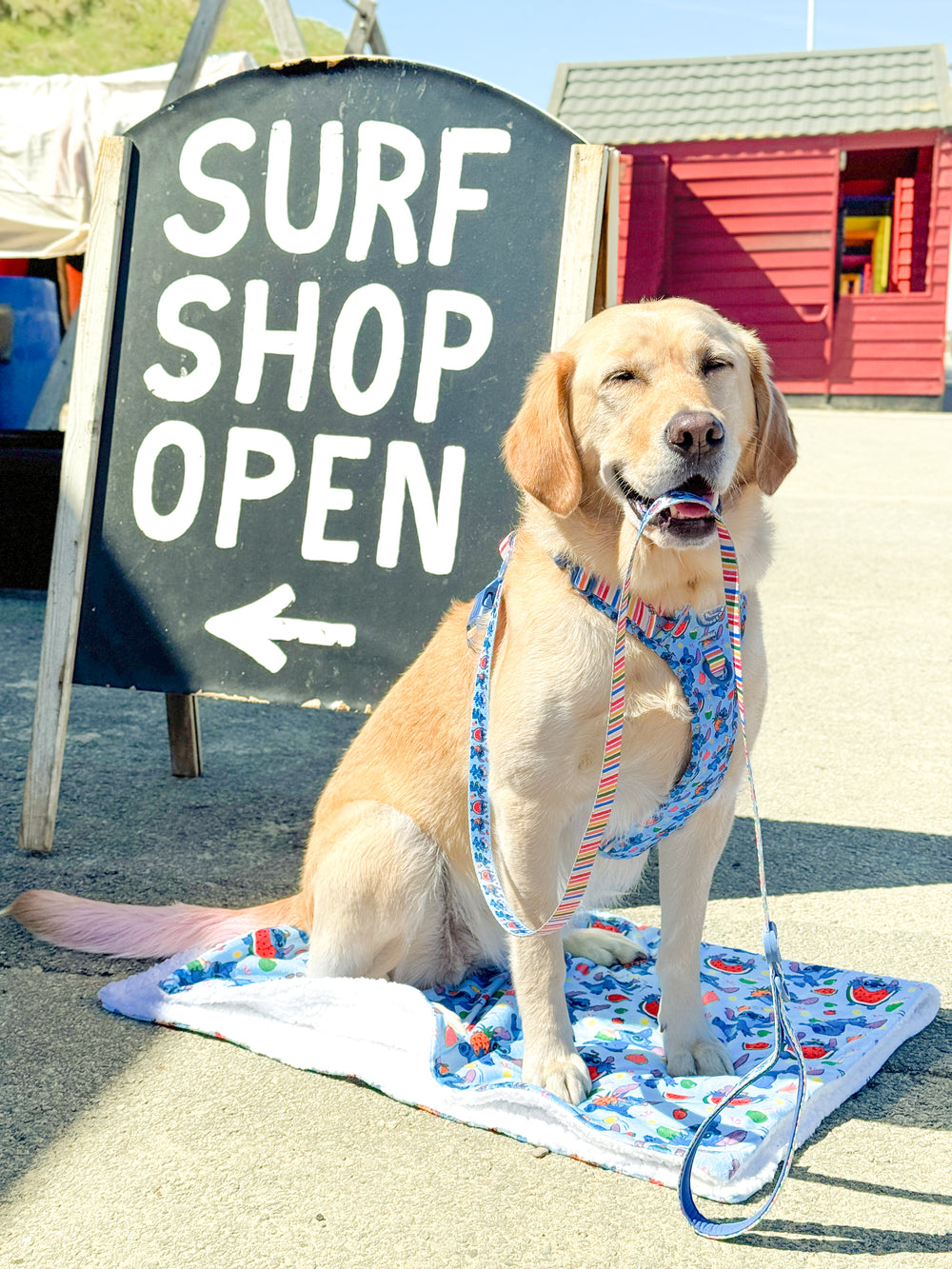 Disney© Lead - Stitch's Fruit Fiesta