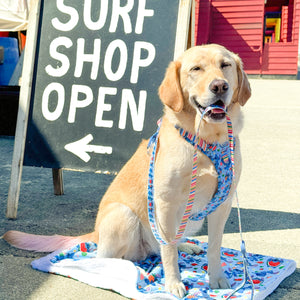 Disney© Lead - Stitch's Fruit Fiesta