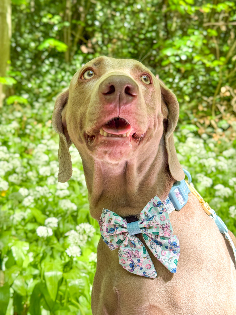 Disney© Sailor Bow Tie - Stitch's Slumber Party