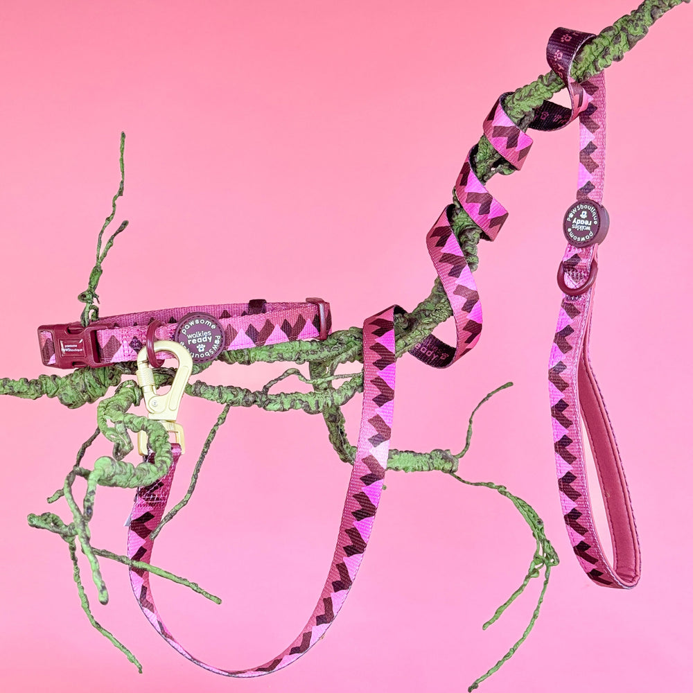 Lead - Walkies Ready® Mulberry